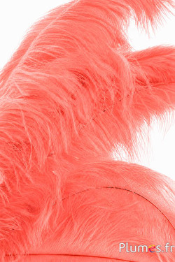 Strauss - 30-40 cm - lachs orange